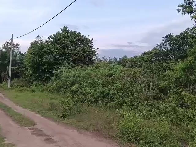 Video Image 1