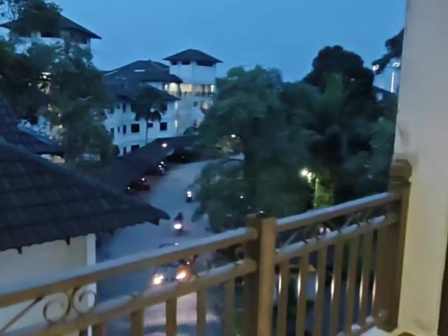 Video Image 1