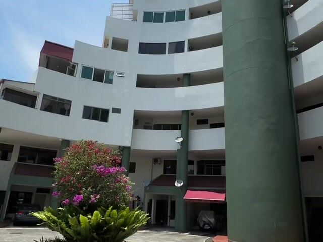 Video Image 1