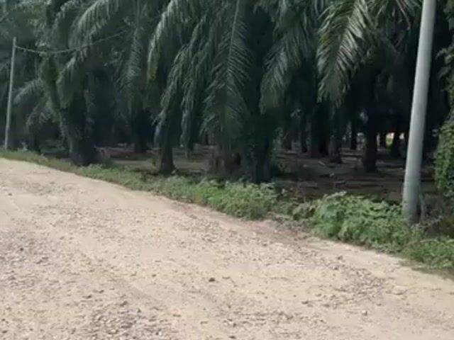 Video Image 1