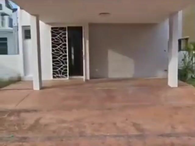 Video Image 1