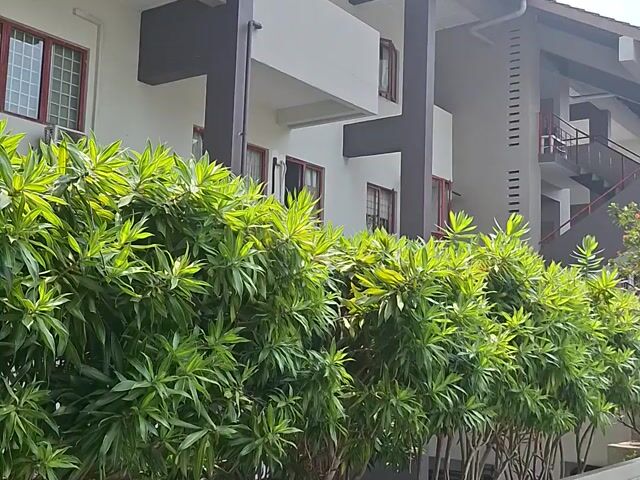 Video Image 1