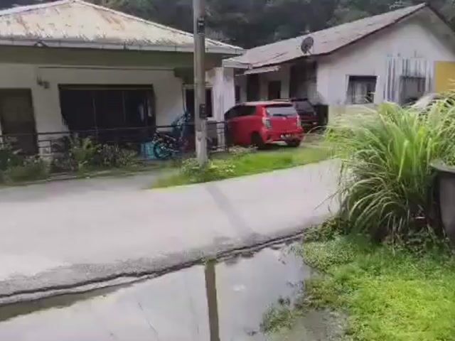 Video Image 1