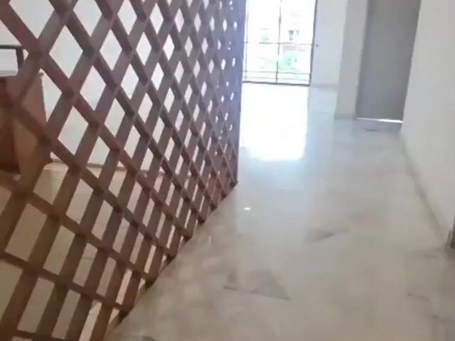 Video Image 1