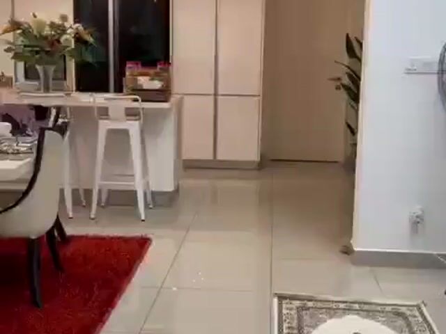 Video Image 1