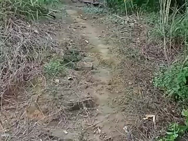 Video Image 1