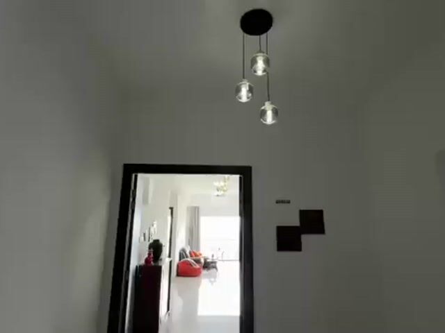 Video Image 1