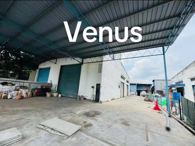 Video Image 1