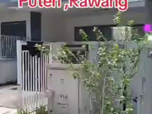 Video Image 1