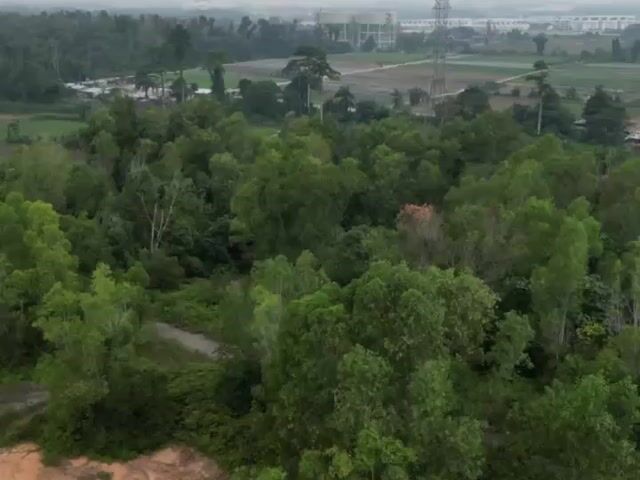 Video Image 1