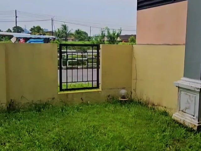 Video Image 1