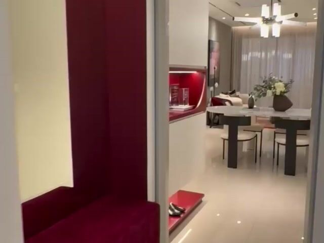 Video Image 1