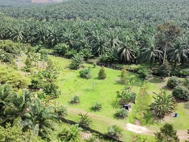 Video Image 1
