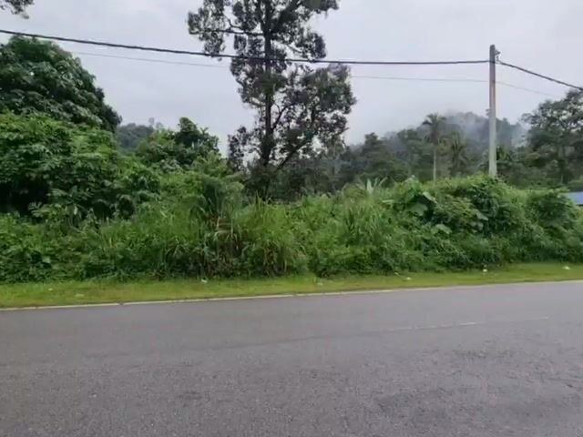 Video Image 1