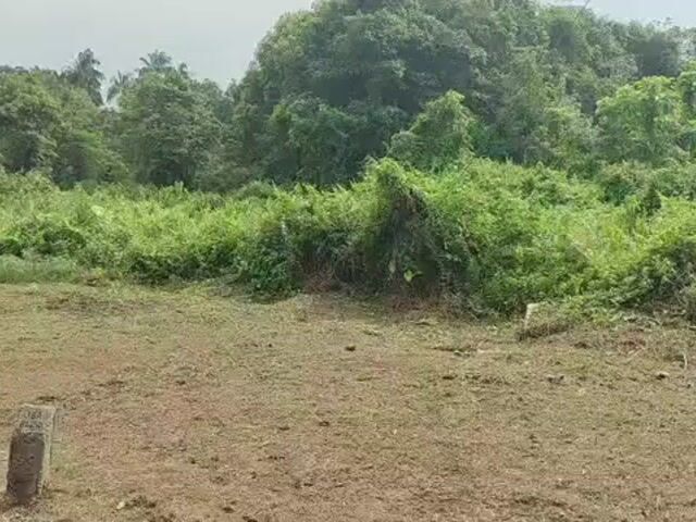 Video Image 1