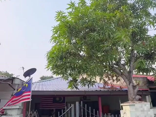Video Image 1
