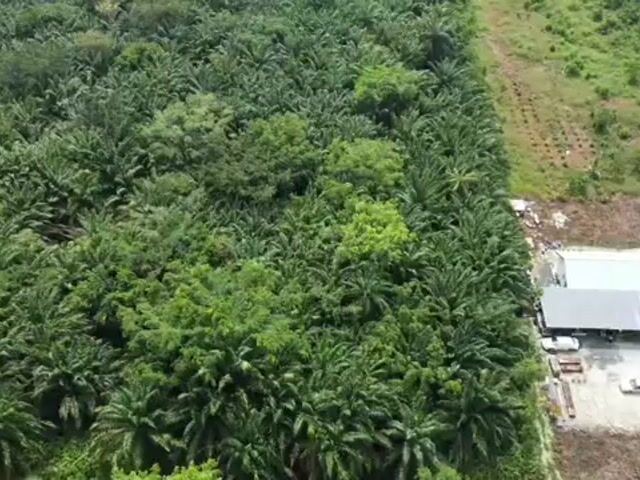 Video Image 1