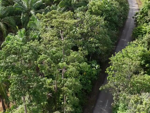 Video Image 1