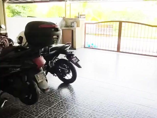 Video Image 1