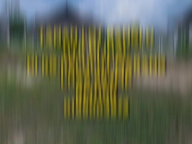 Video Image 1