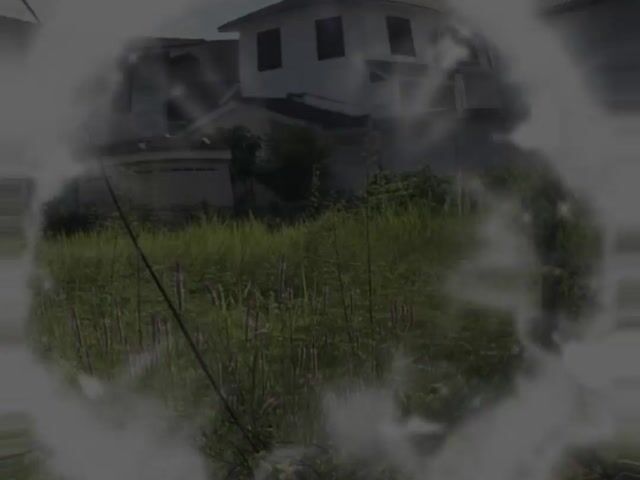 Video Image 1