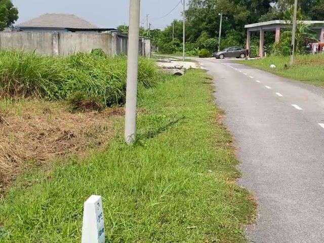 Video Image 1