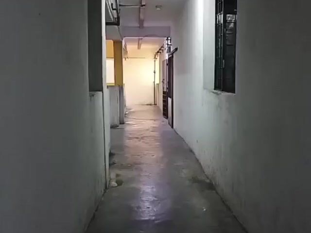 Video Image 1