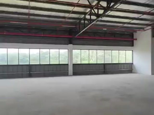 Video Image 1