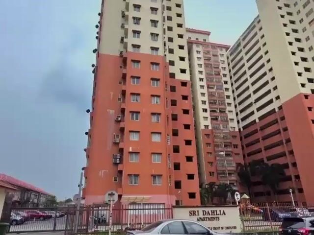 Video Image 1