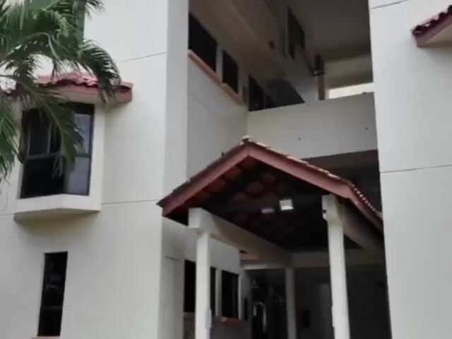Video Image 1