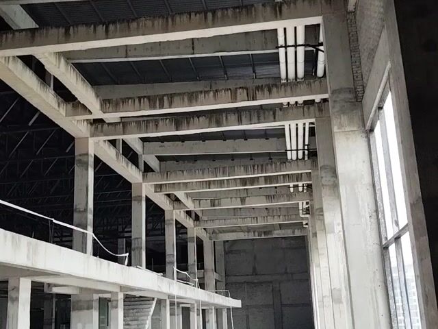 Video Image 1