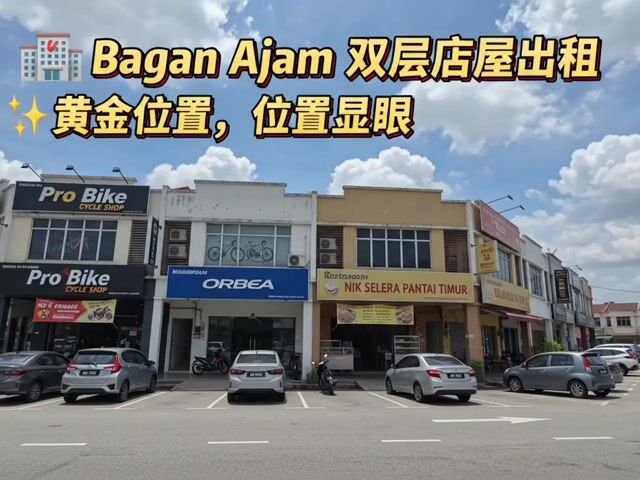 Video Image 1