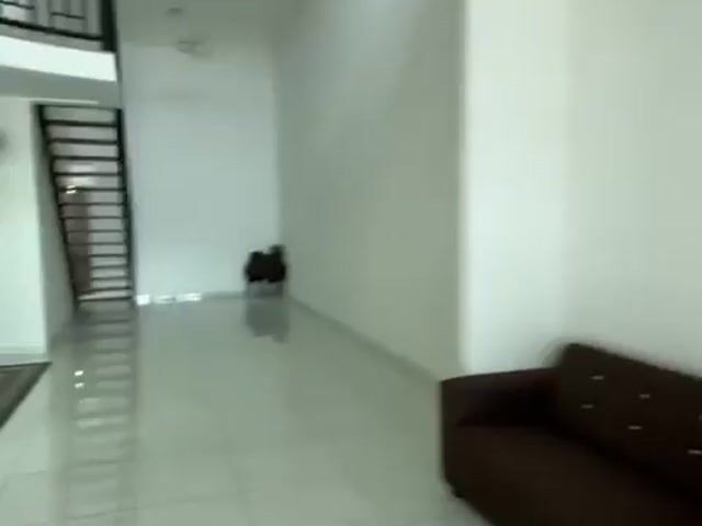 Video Image 1