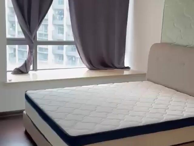 Video Image 1