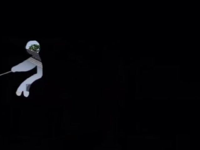 Video Image 1