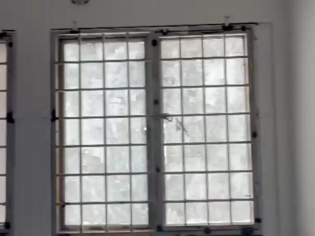 Video Image 1