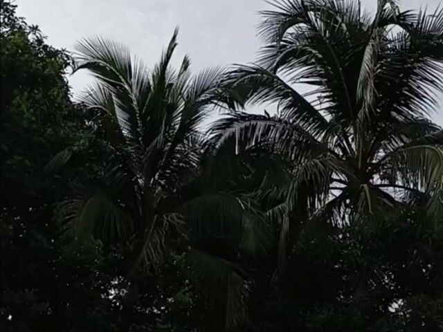 Video Image 1