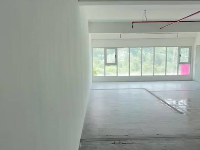 Video Image 1