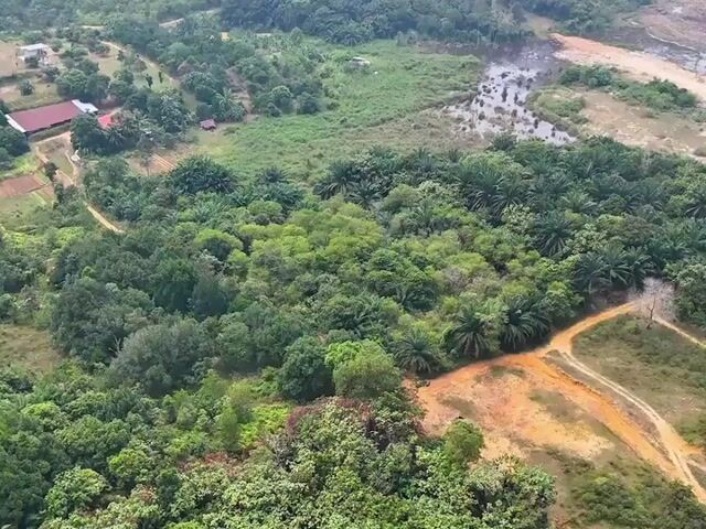 Video Image 1