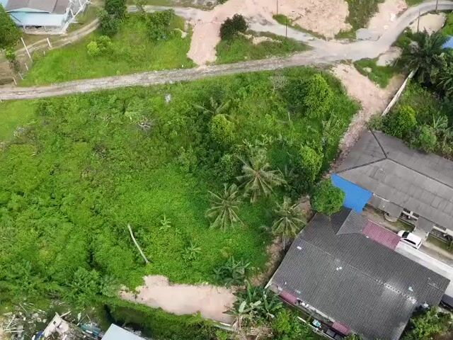 Video Image 1