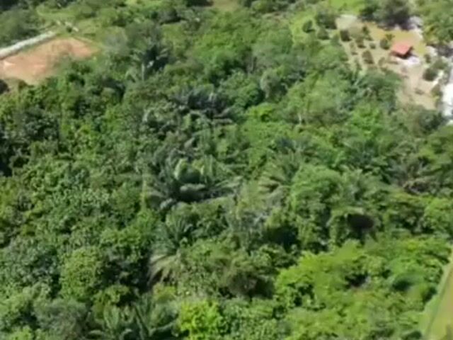 Video Image 1