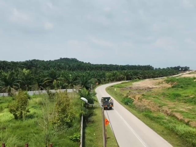 Video Image 1