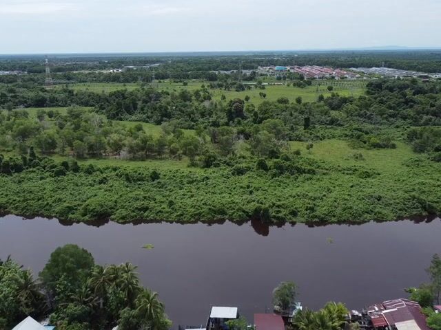 Video Image 1