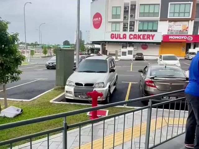Video Image 1
