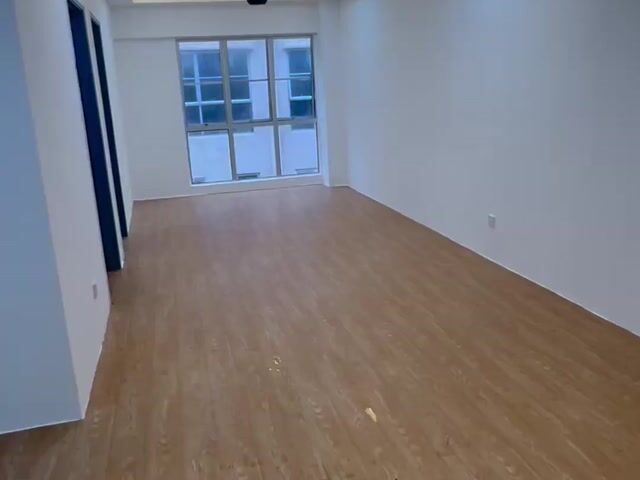 Video Image 1