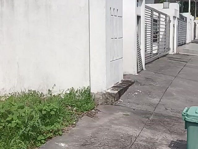 Video Image 1