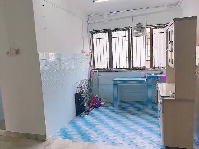 Video Image 1