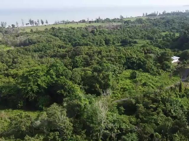 Video Image 1