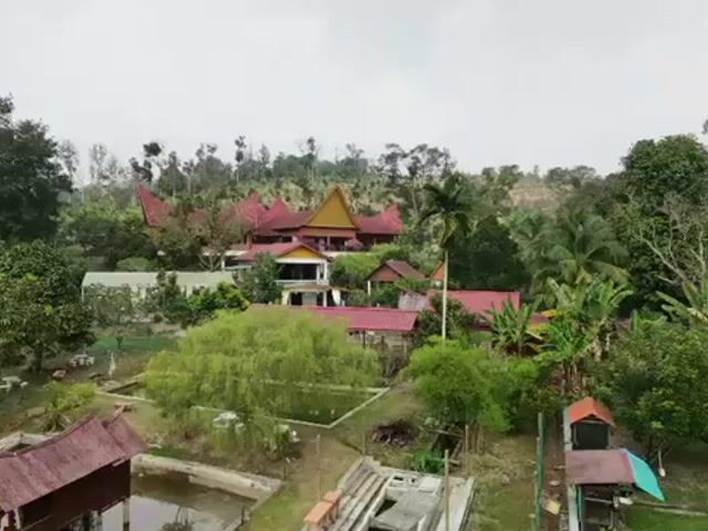 Video Image 1