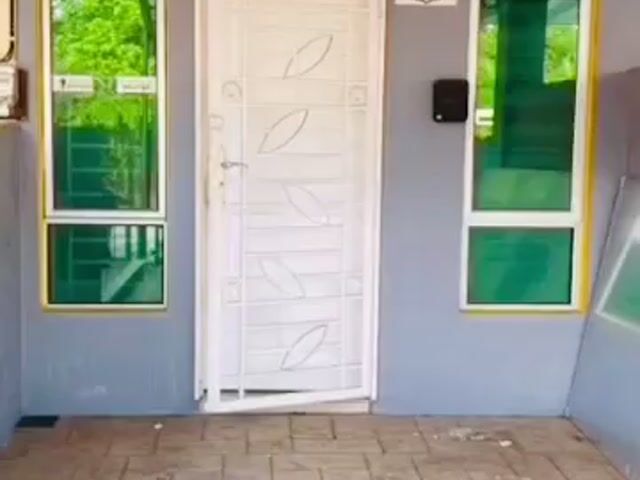 Video Image 1